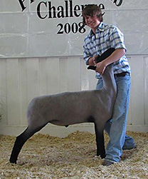 Champion Suffolk Premier Lamb Challenge